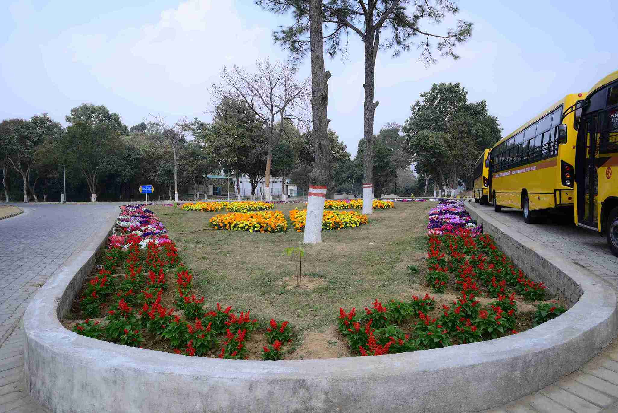 sbu campus