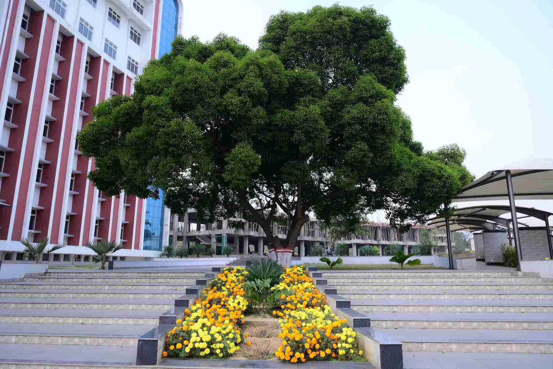 sbu campus